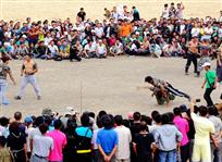 蒙古摔跤赛