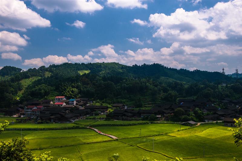 下一页 作品名称: 夏日山村  作品描述:   拍摄地点: 靖州县大堡子镇