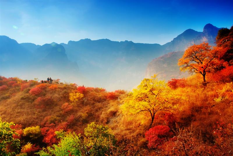 ص: ˳ƽ  ʱ: 2012-10-20  Ʒ       zdwzw
