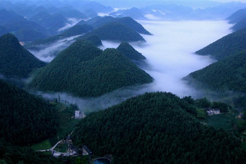 拍摄地点: 奉节金凤山  拍摄时间: 2015-07-12  作品       快乐