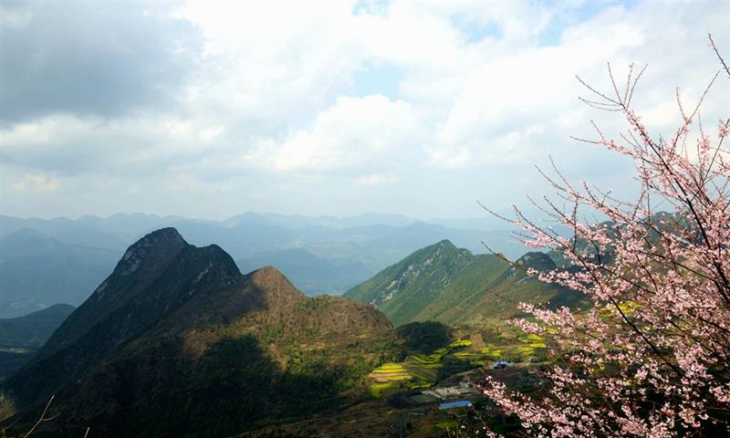 拍摄地点: 奉节兴隆金凤山  拍摄时间: 2014-04-07  作品