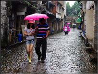 江南雨