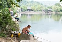 夏日东湖边----垂钓