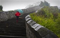 雨中情侣