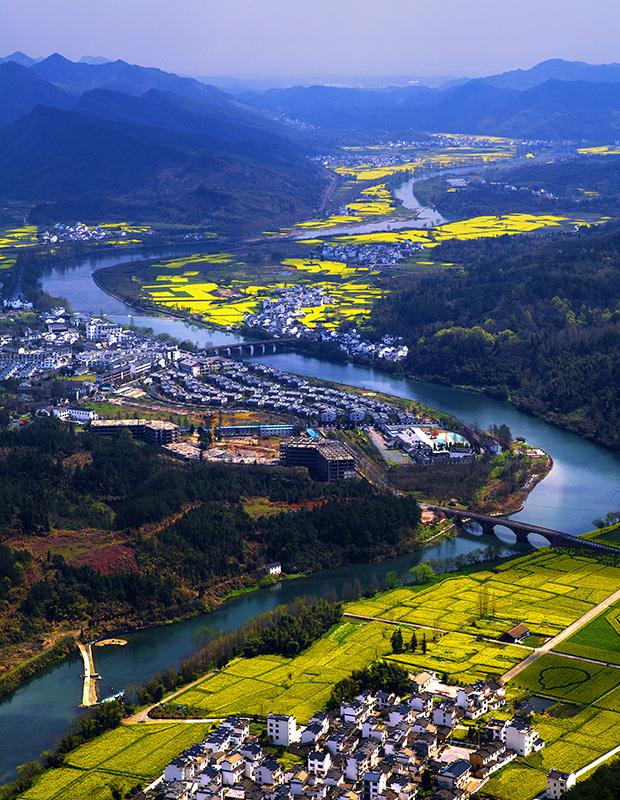 壁纸 成片种植 风景 植物 种植基地 桌面 620_800 竖版 竖屏 手机