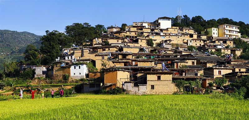 拍摄地点 元江-洼垤乡它才吉村 拍摄时