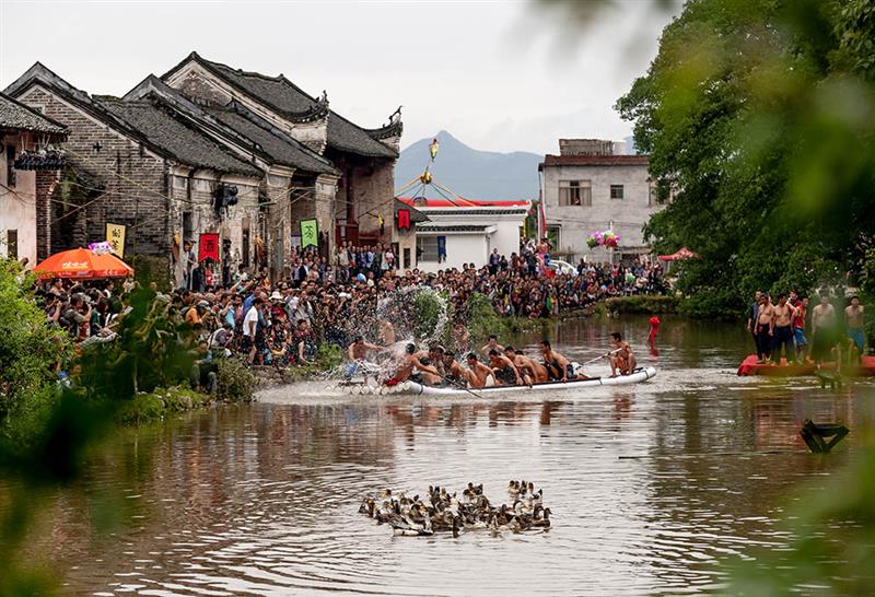 5.19,恭城县西岭乡杨溪村,水上抓鸭比赛.