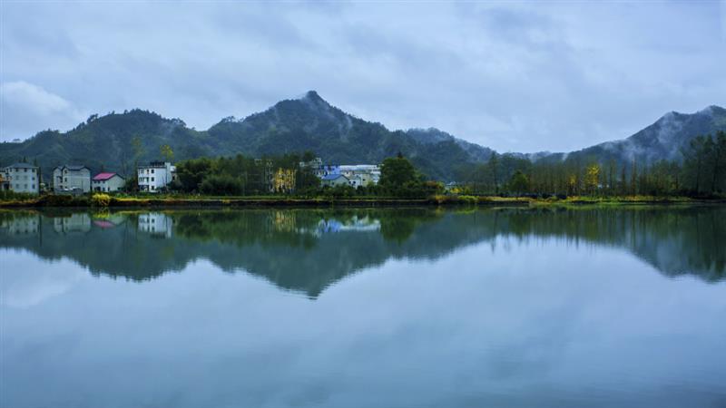华埠的白天风景图片