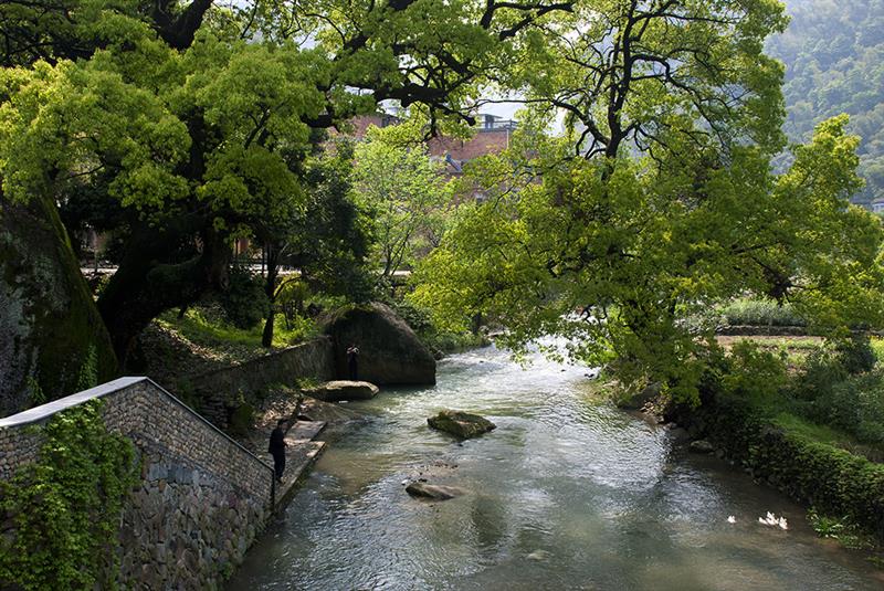 村口风景  作品描述: 2013年4月摄于浙江省武义县王宅镇大莱口村