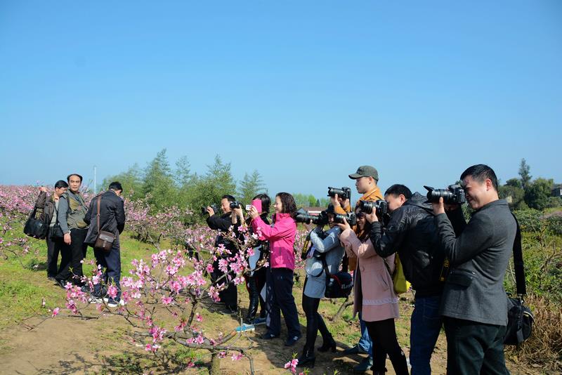 拍摄地点: 拍摄于四川省营山县小桥镇白岩寨.