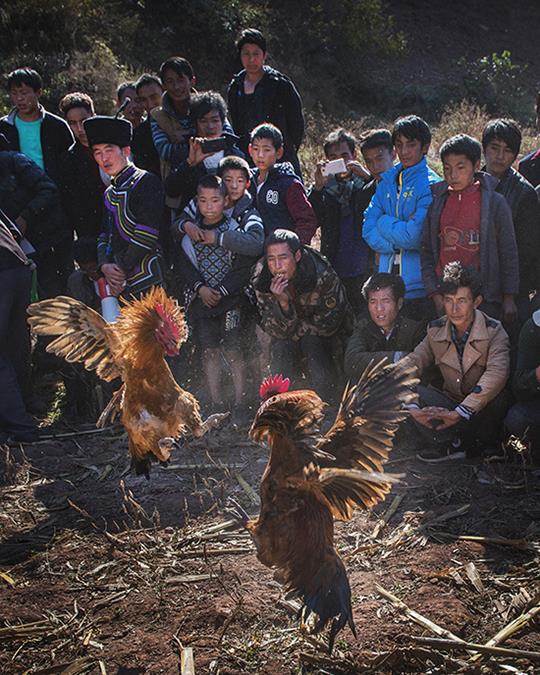 拍摄地点: 四川大凉山美姑县牛牛坝  拍摄时间: 2015-11-24  作品