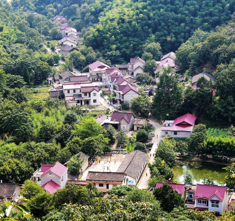 页 下一页 作品名称: 美丽山村  作品描述:   拍摄地点: 宁国市霞西镇