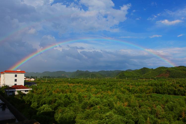 雨后的竹乡横卧一条美丽的彩虹 拍摄地点 临安於潜镇绍鲁村 拍摄