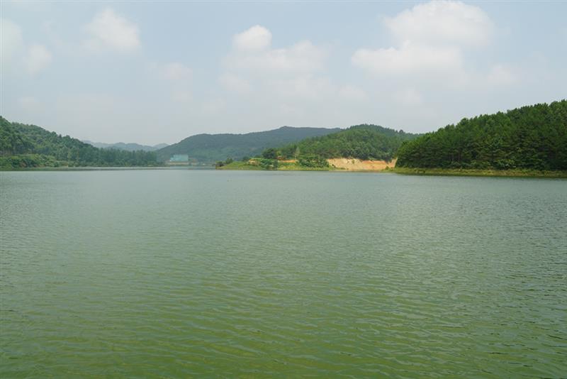 【湖北安陆龙王湖莲花寺 拍摄地点【湖北安陆龙王湖水库】