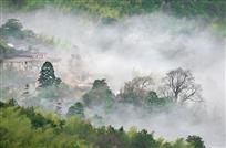 竹山人家