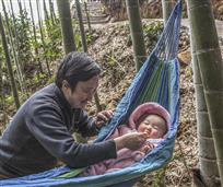 《林中清气绎深情》