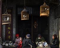 《慢生活》