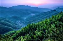 竹海扬波