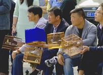 爱不释手