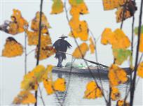 雨中行