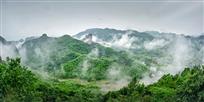大红岩竹林