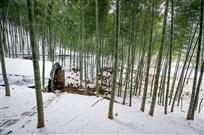 生态养殖