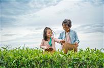 小小采茶姑