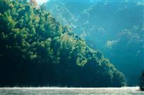 青山恋曲
