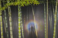 竹林佛光