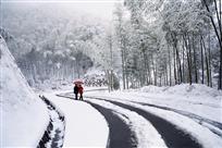 竹乡雪韵