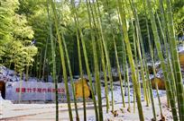 竹子科技园区