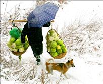 风雪路上