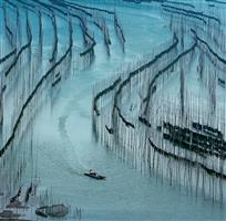《海上“竹林”》