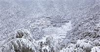 木坑雪韵