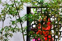 赏竹