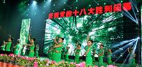 翠竹生生吐心声
