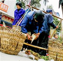 竹子与人生