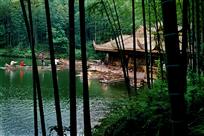 夏游竹乡
