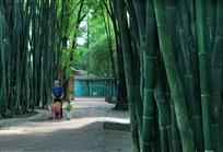 悠悠小院