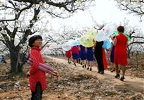 《梨园风韵》