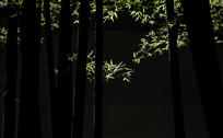 影