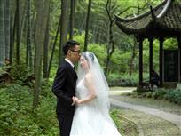 竹林中的婚纱