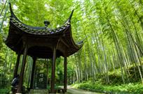 云栖竹径