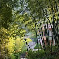 竹林人家