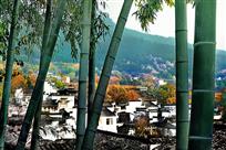 竹林山庄