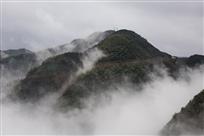 云雾满山飘