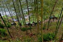 山间