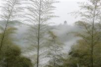 竹外清山