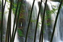 竹林飞瀑