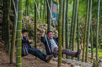 竹林荡悠悠